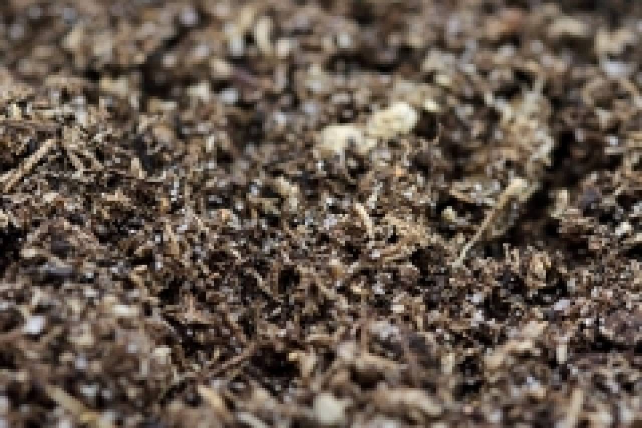 Spider Ground 2,5kg